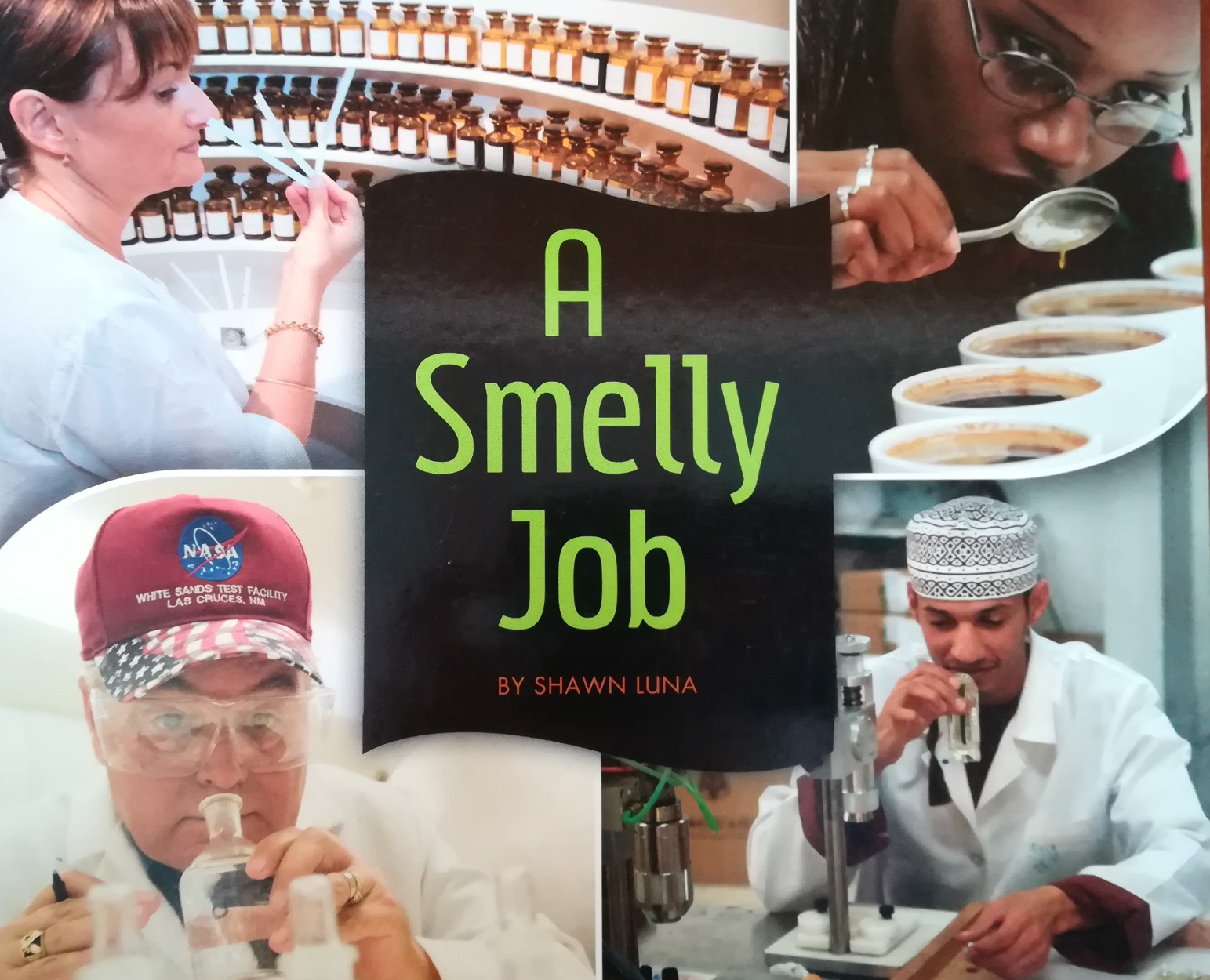 A Smelly Job