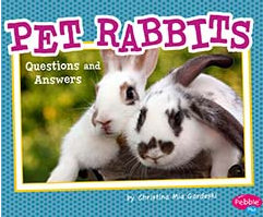 Pet Rabbits: Questions and Answers