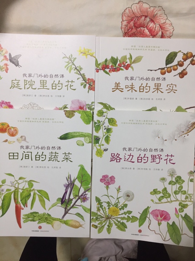 路邊的野花 親子