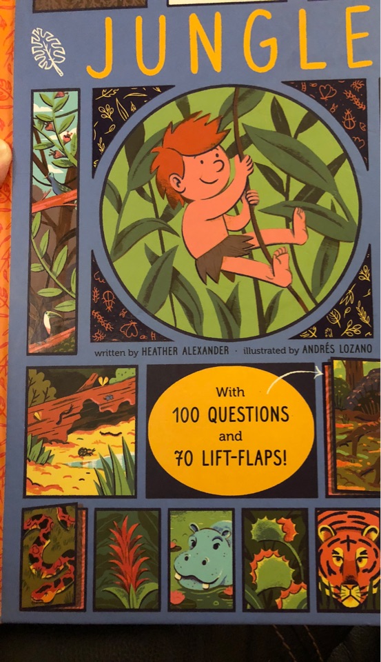 Jungle: With 100 Questions and 70 Lift-flaps!