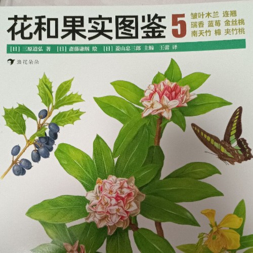 花和果實圖鑒5