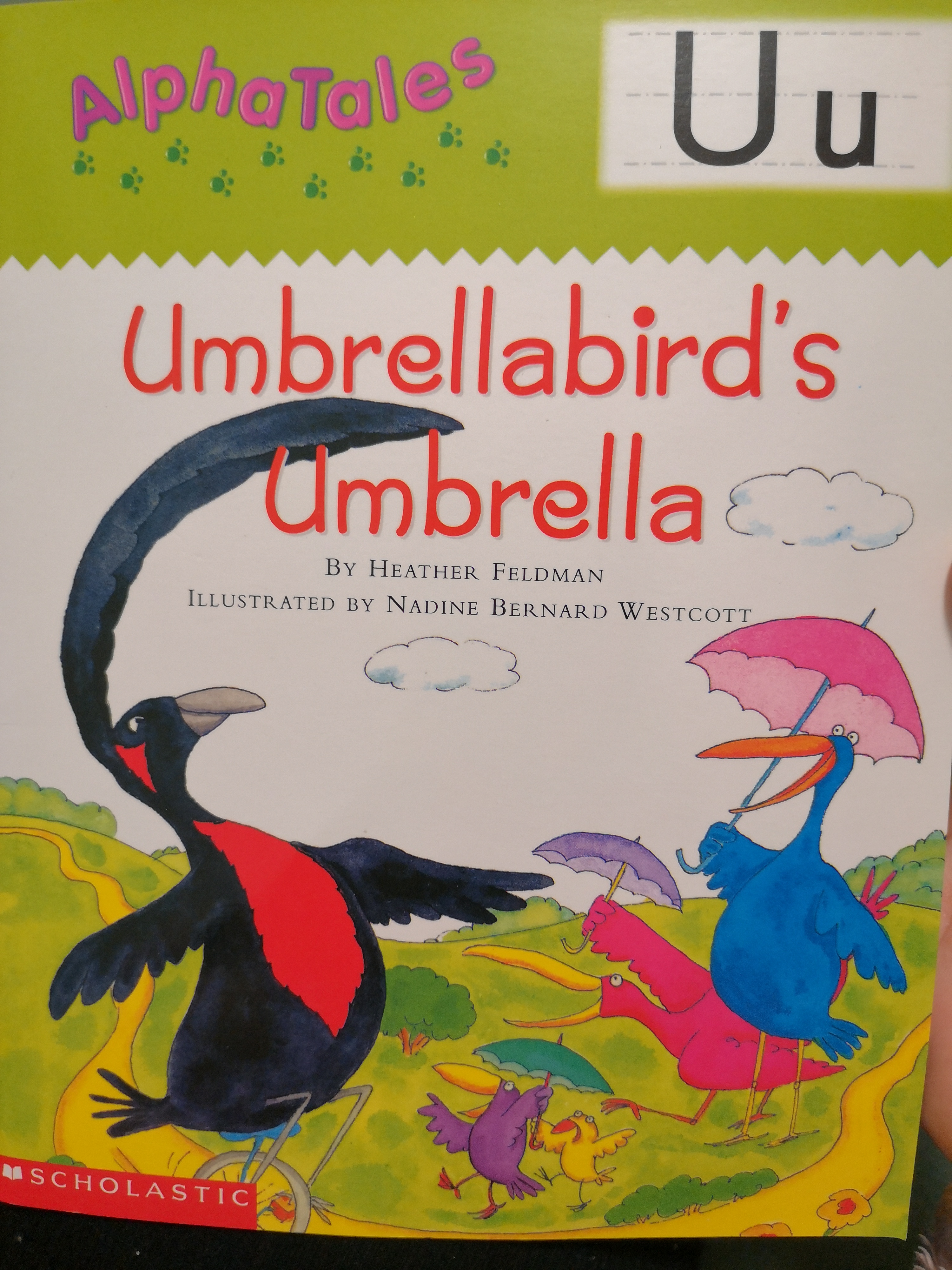 Umbrellabird's Umbrella