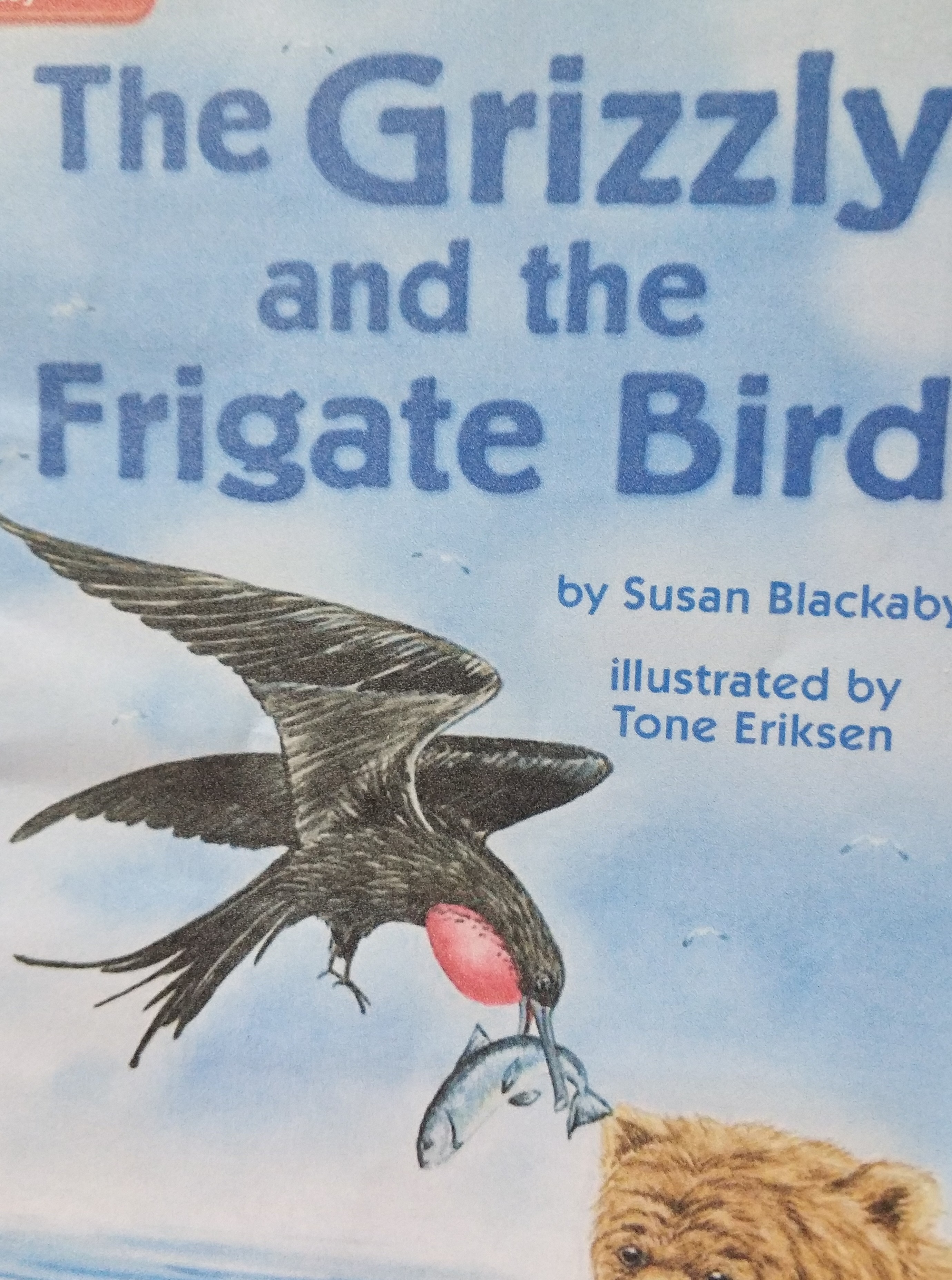 The grizzly Bear and the frigate bird