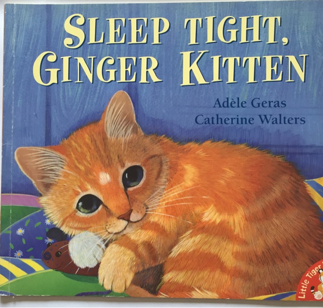 Sleep Tight ,Ginger Kitten