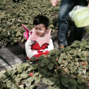 whuwangjing