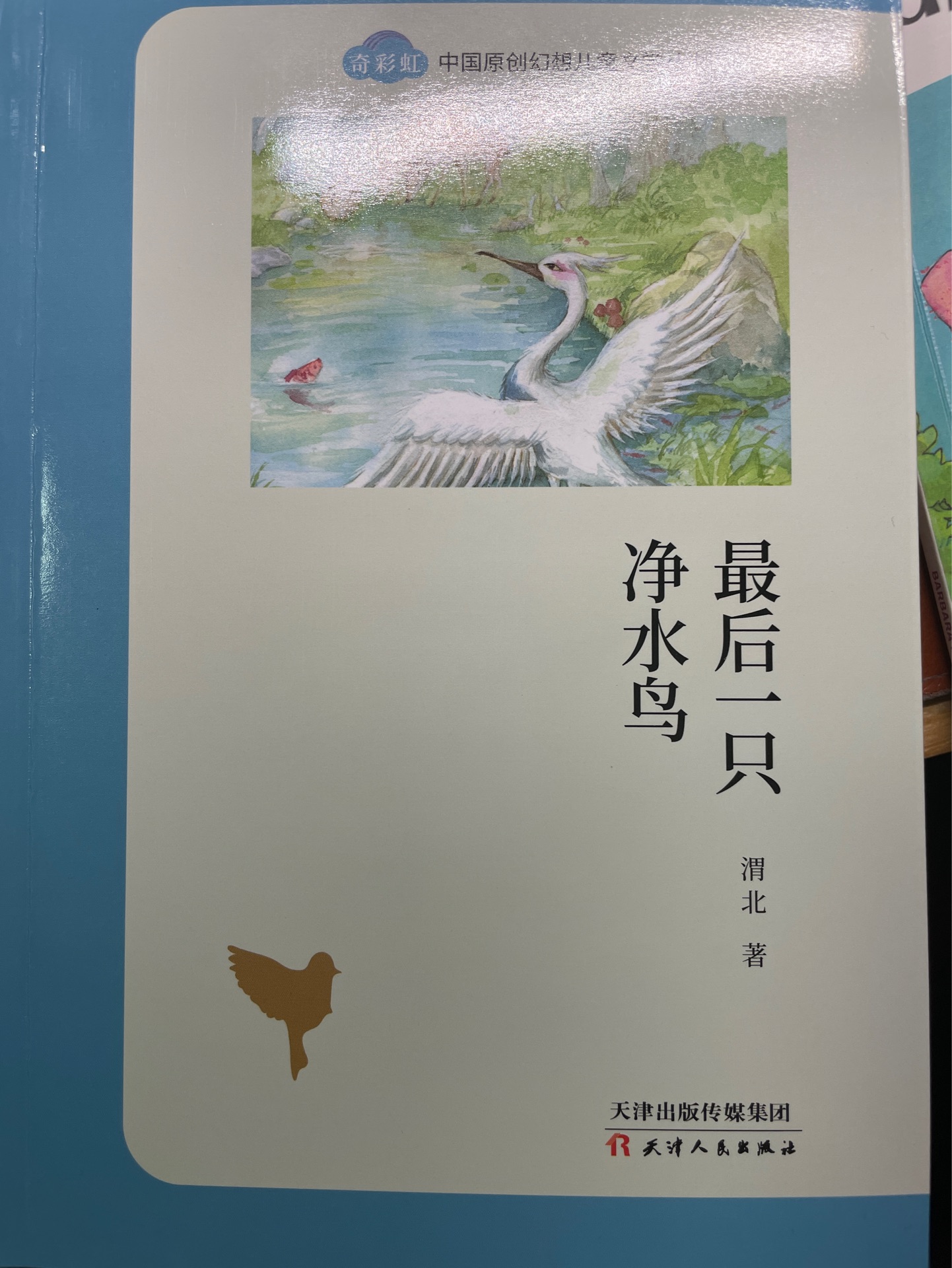 奇彩虹——最后一只凈水鳥(niǎo)