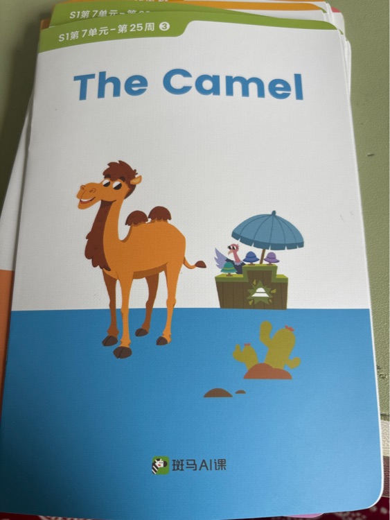 The Camel 斑馬