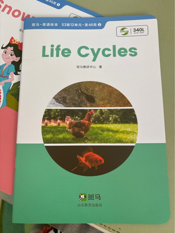 life cycles