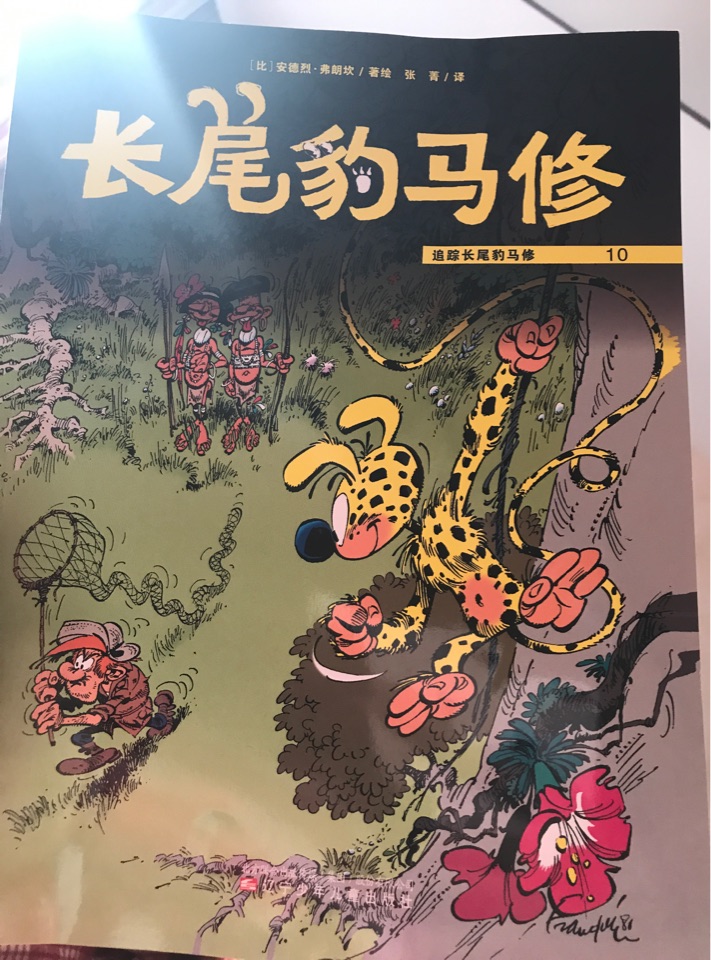 長尾豹馬修