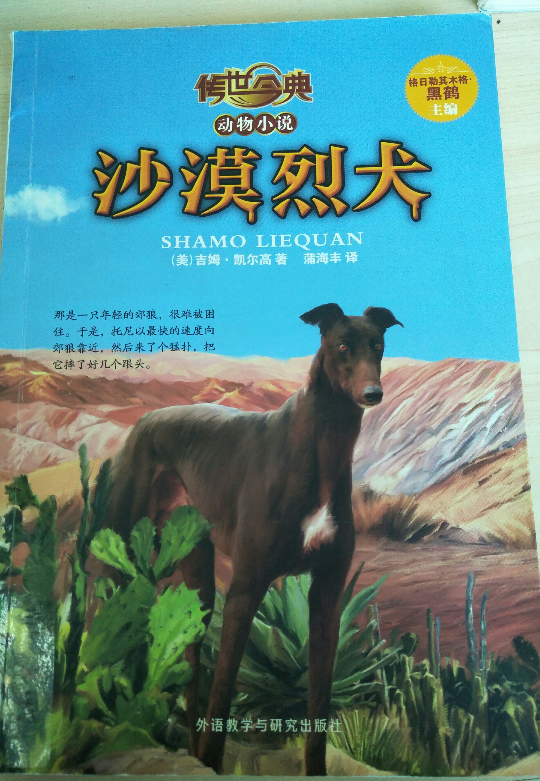 沙漠獵犬