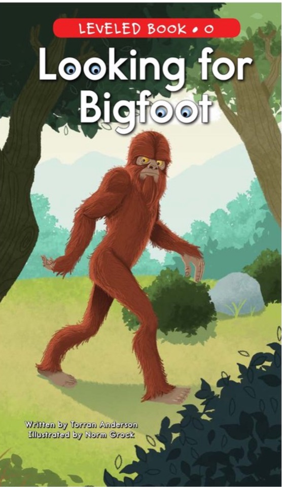 Looking for Bigfoot
