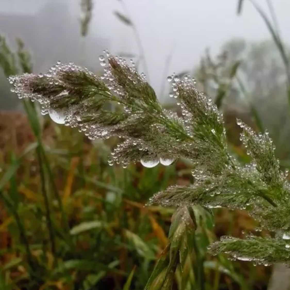 偉偉445