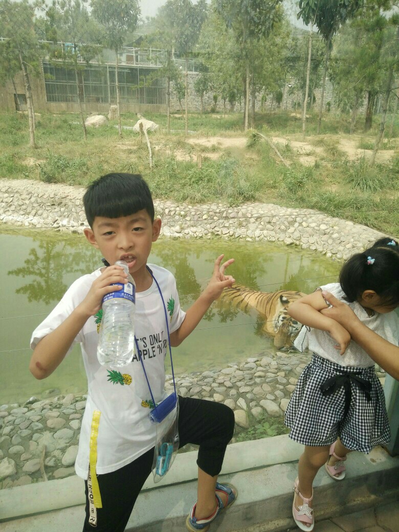我家的大寶