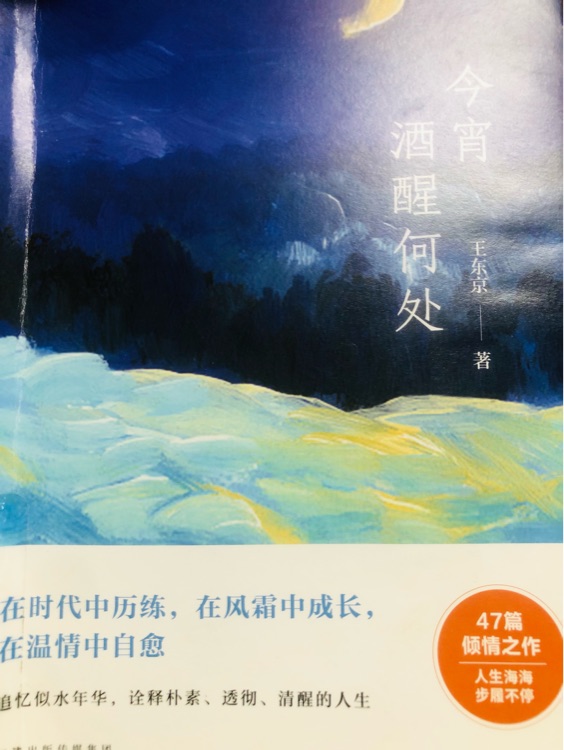 今宵酒醒何處