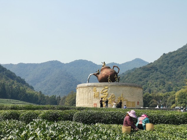 去杭州旅游，我有