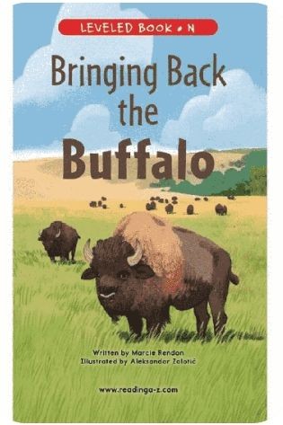 Bringing back the Buffalo