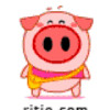 sweet_pig