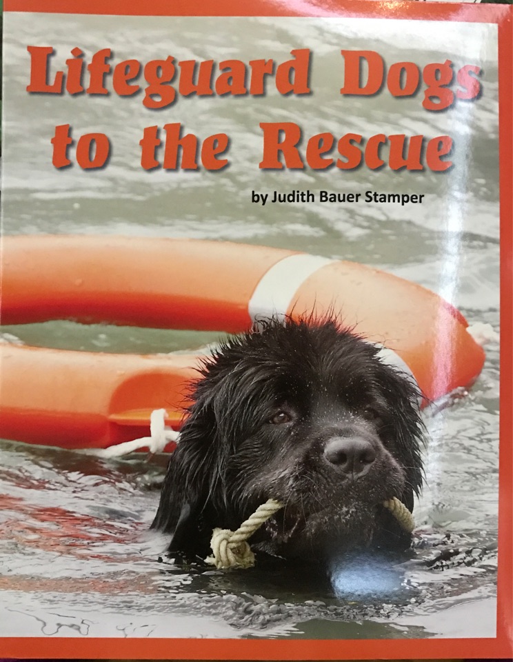 Lifeguard Dogs to the Rescue