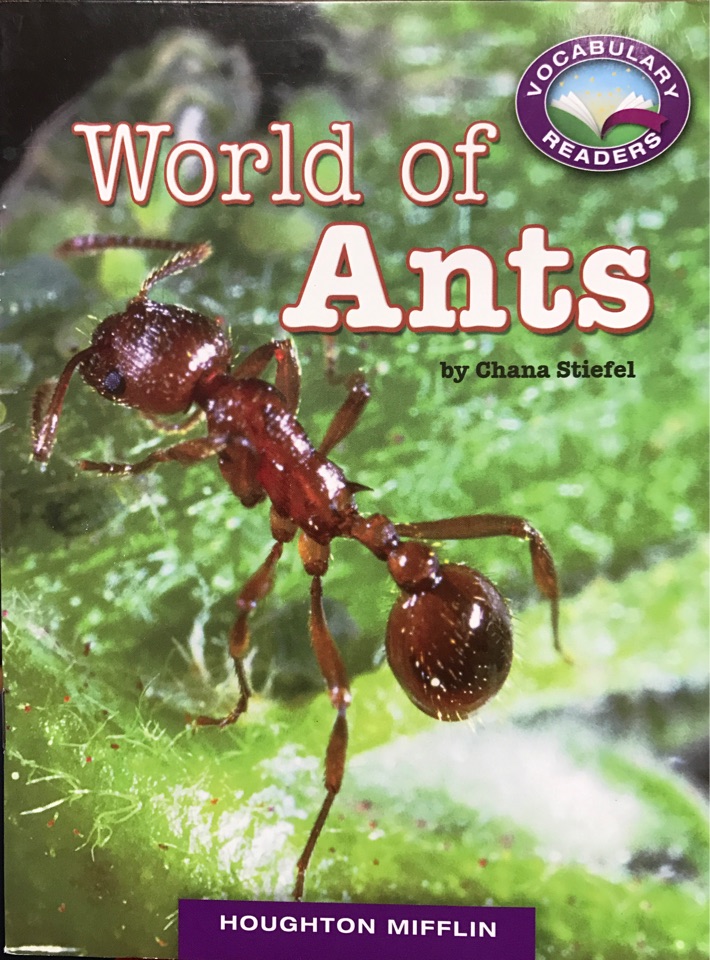 World  of Ants