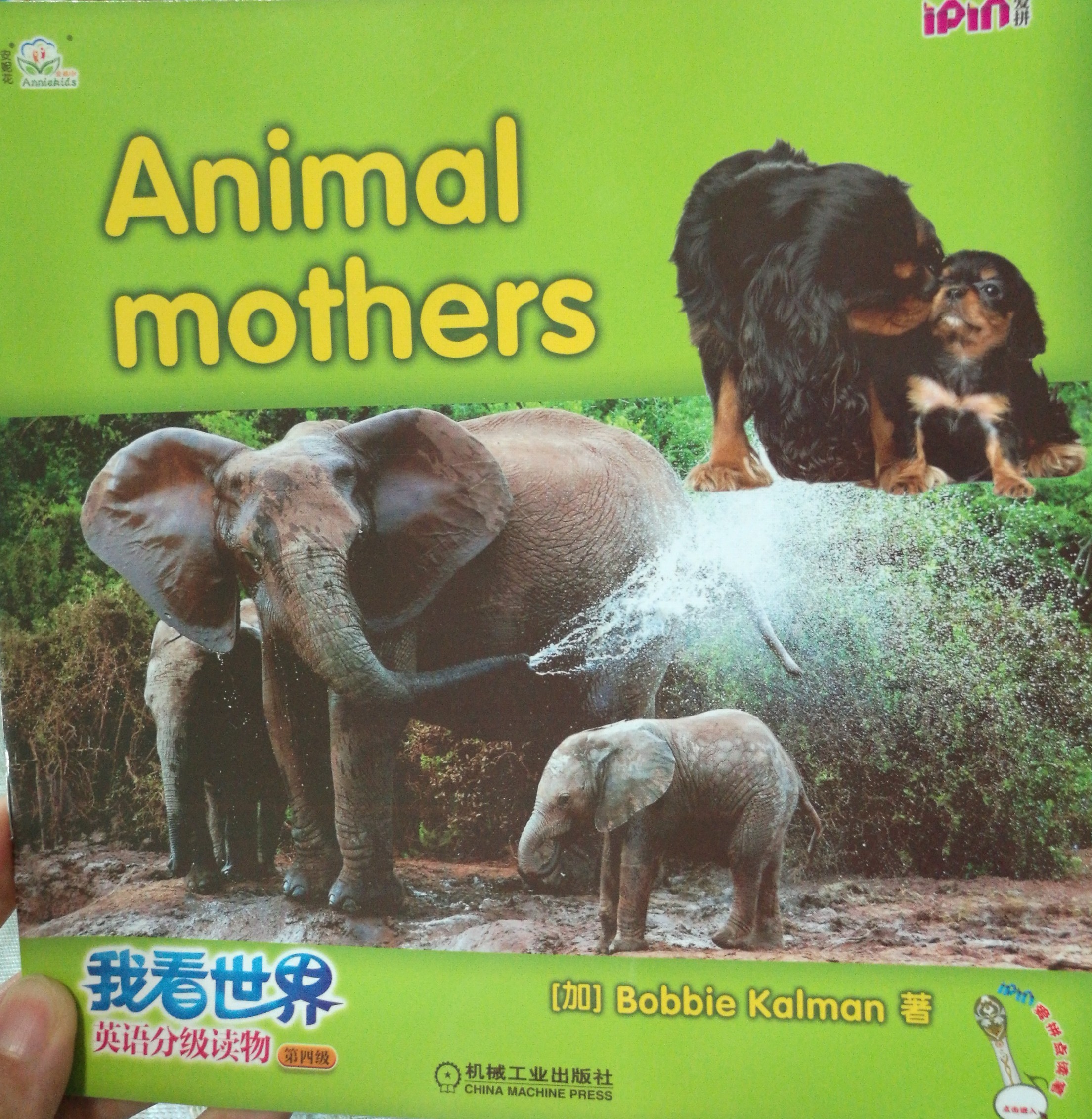 Animal mothers