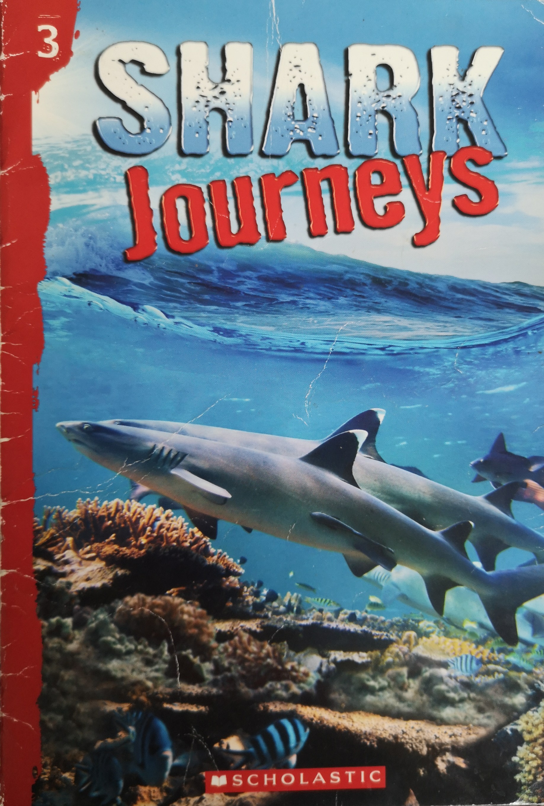 Shark Journeys