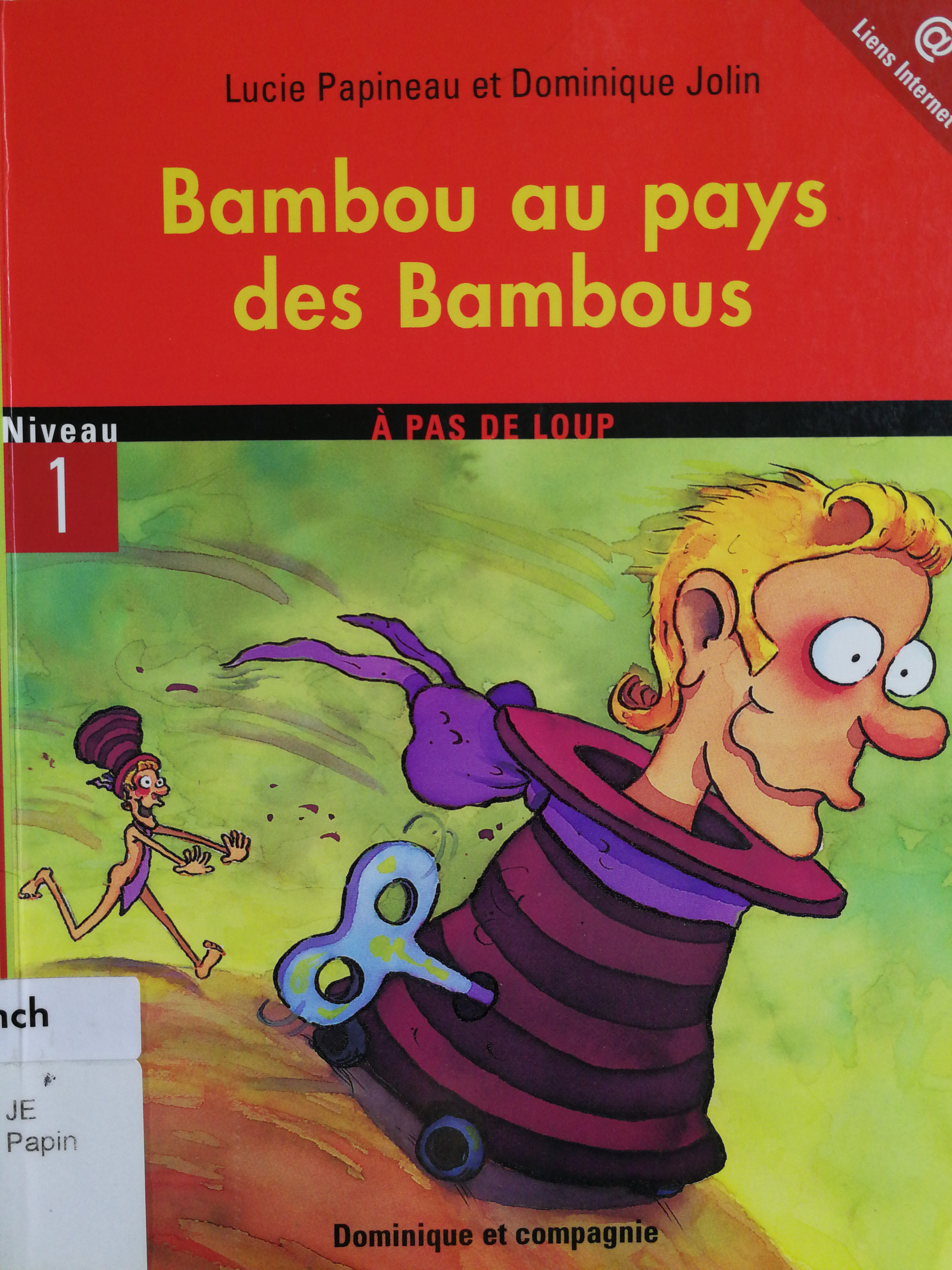 bambou au pays des bambous