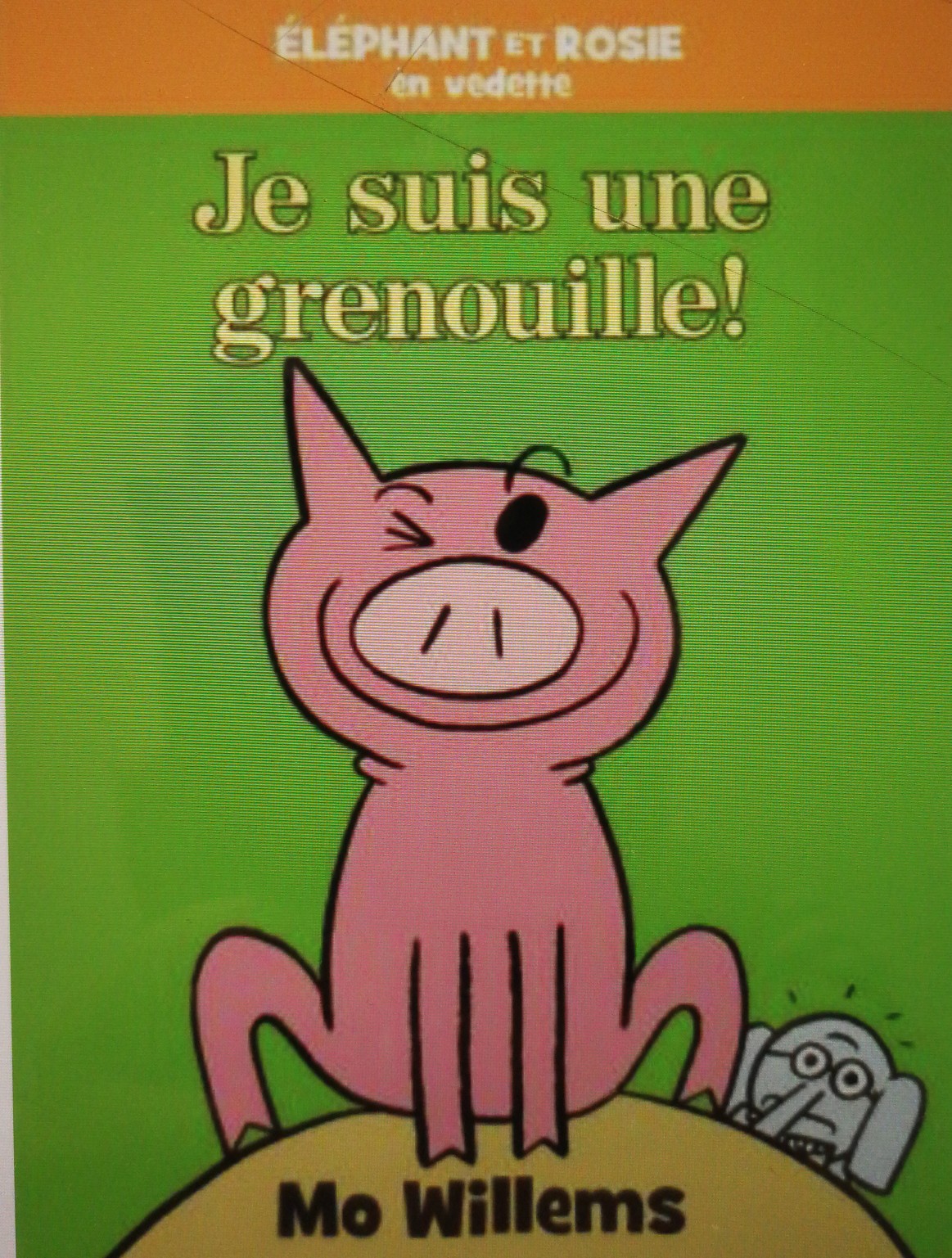 je suis une grenouille