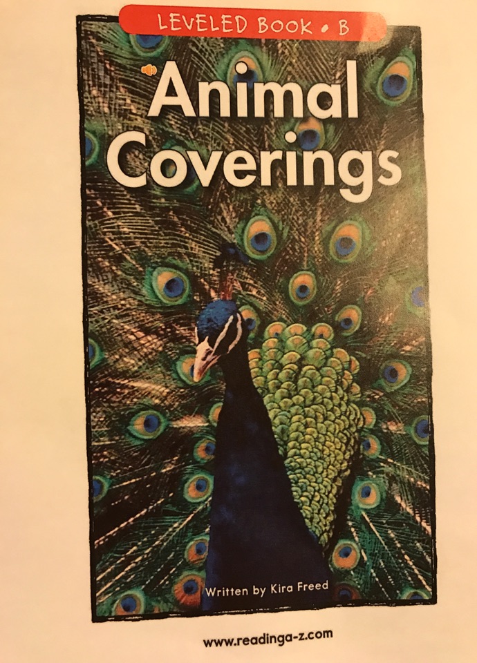 Animal coverings