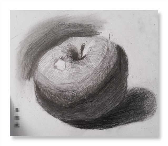 素描静待花开中