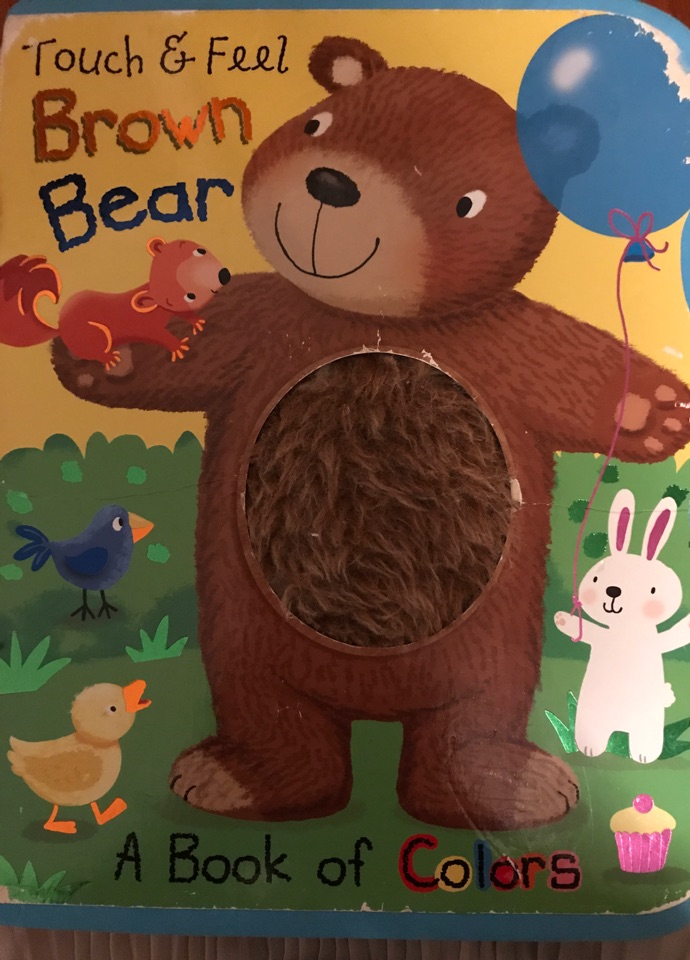 Brown bear a book of colors