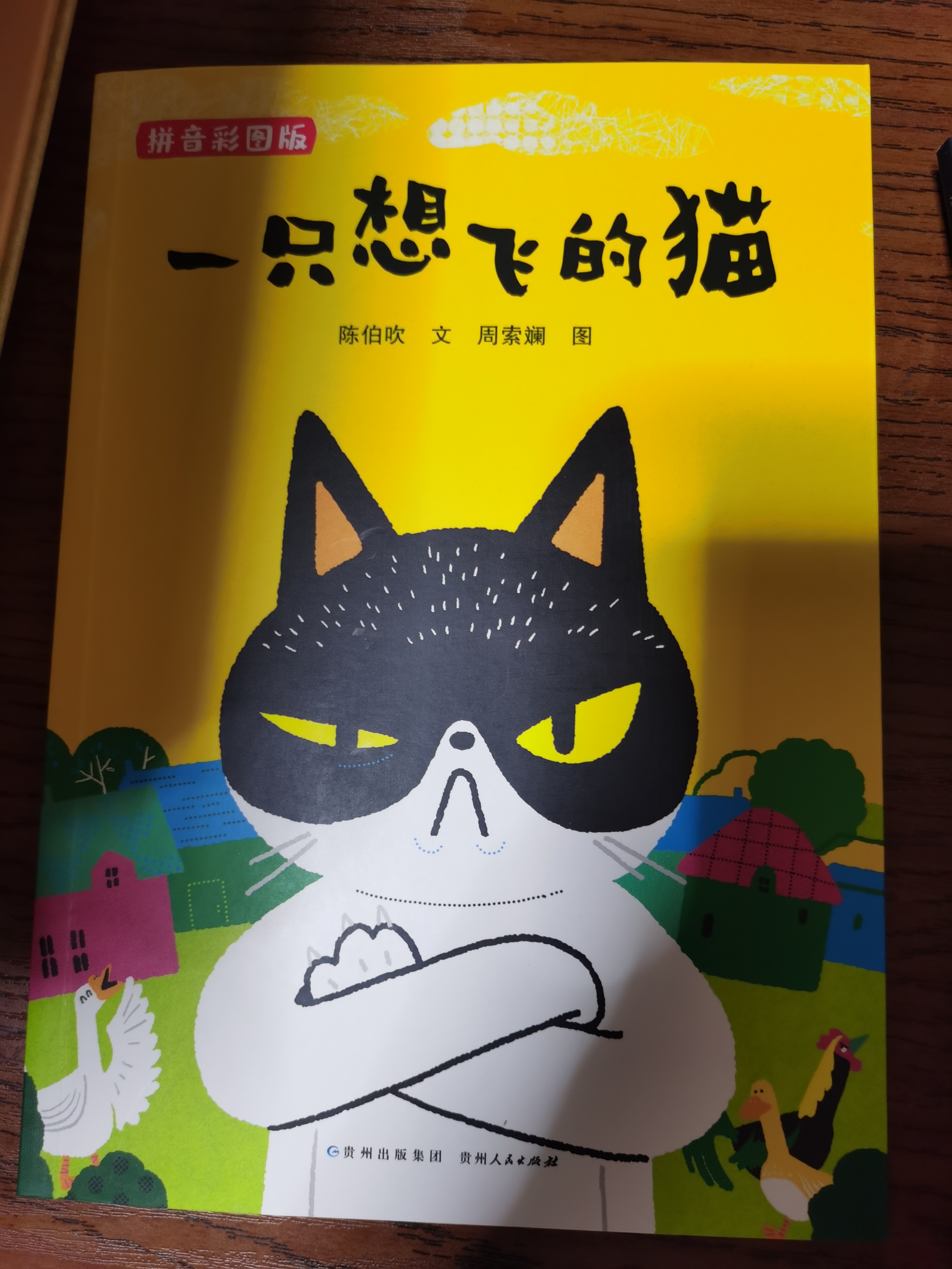 一只想飞的猫