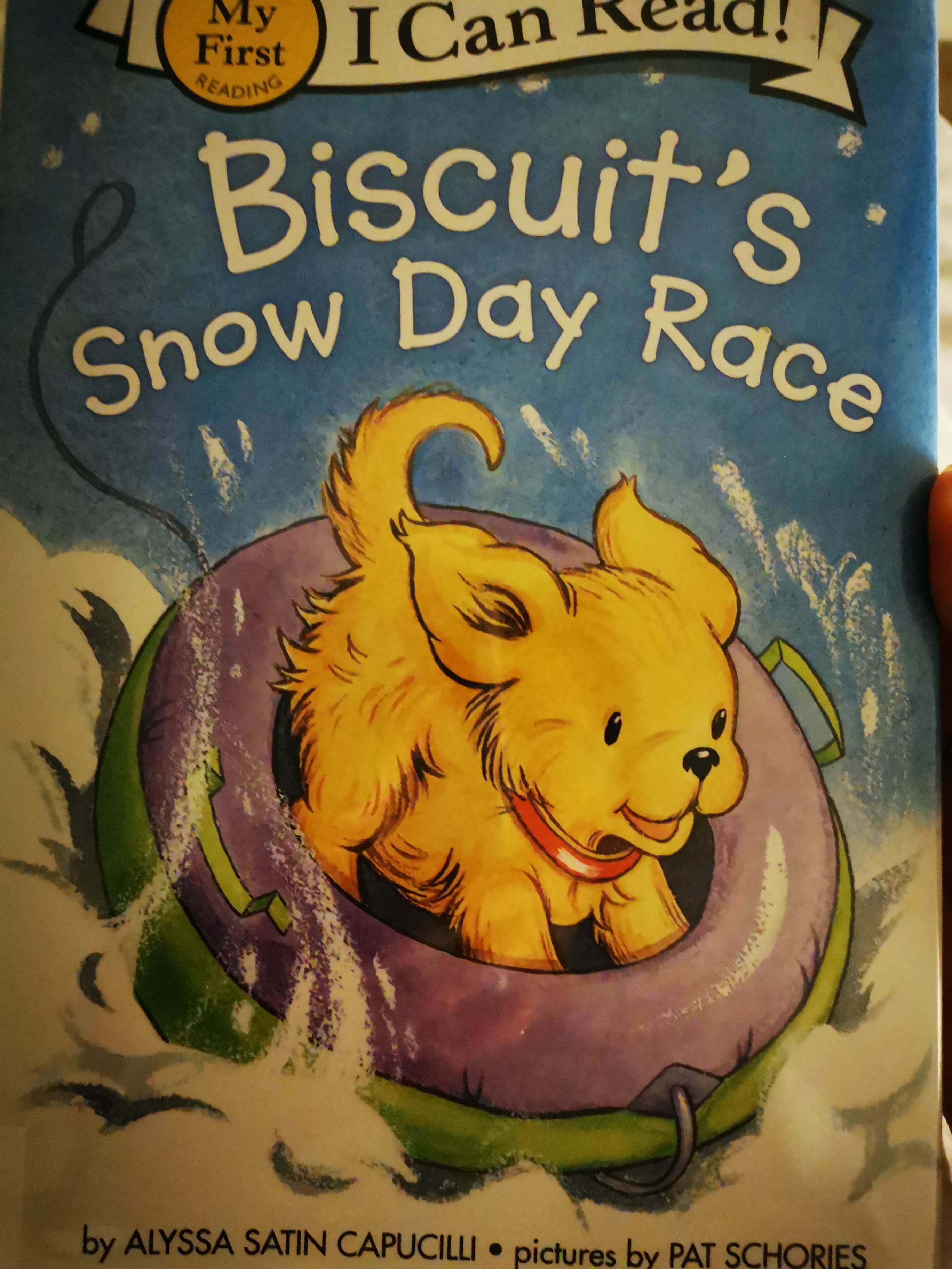 BISCUIT's snow  day race