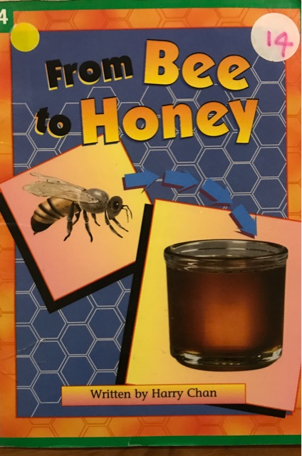 From bee to honey