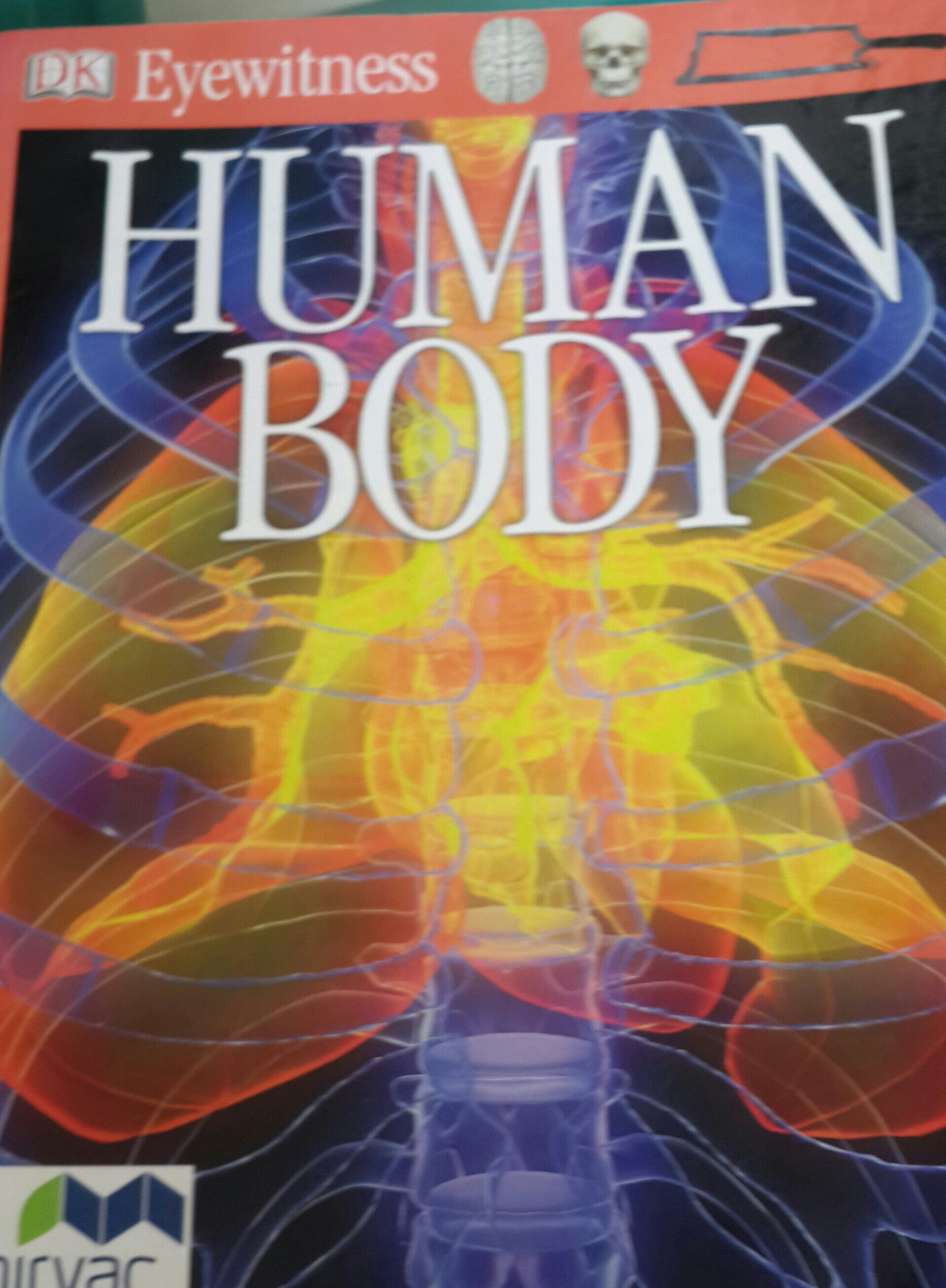 Human Body