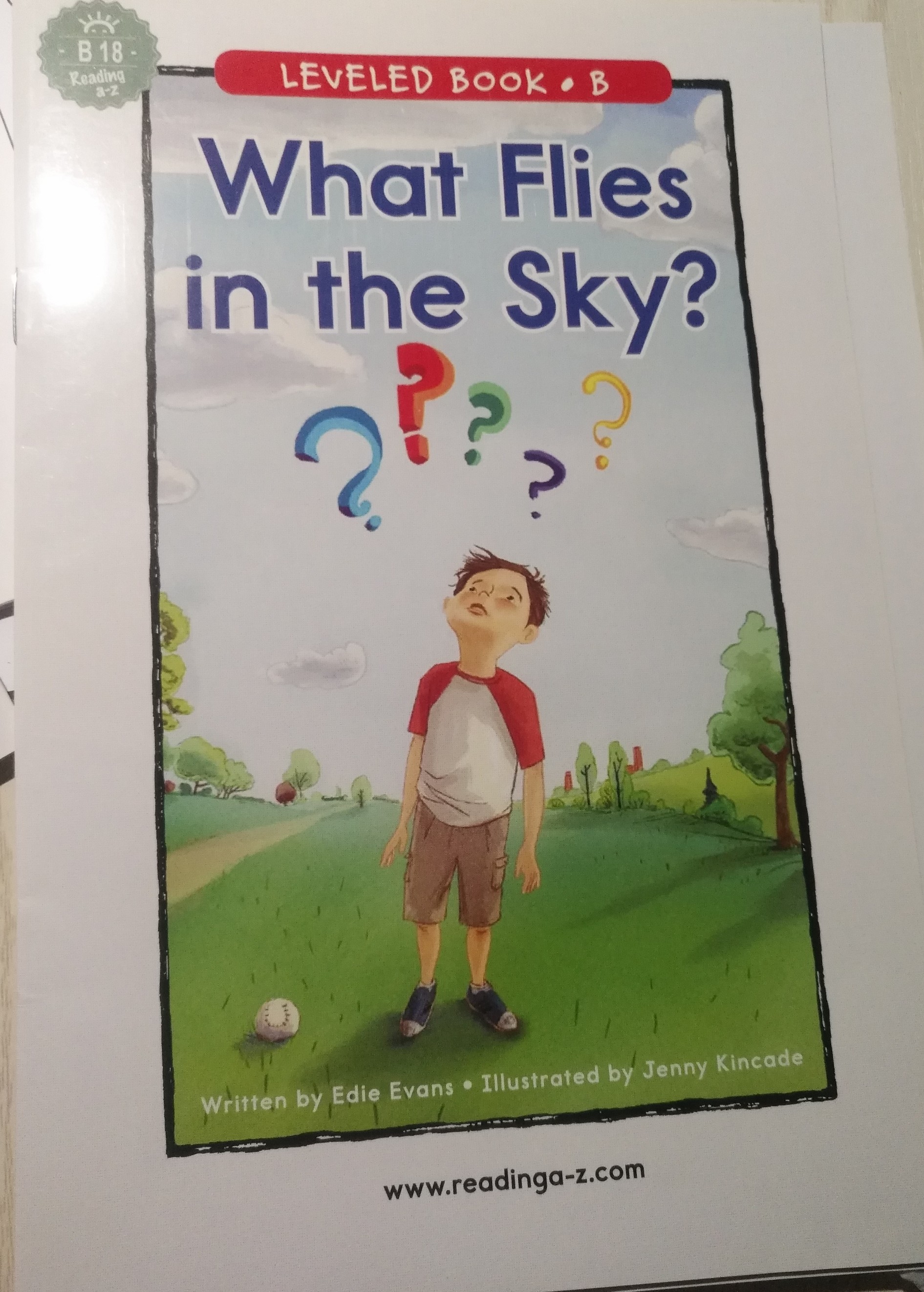 what flies in the sky?