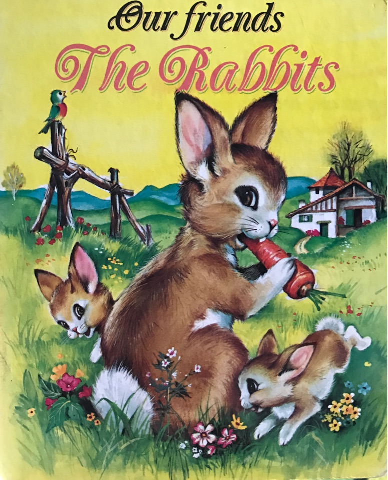 our friends: the rabbits