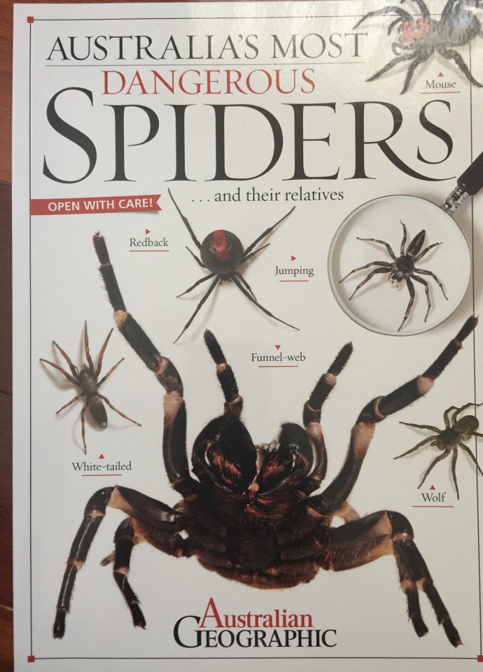 Au most dangerous spiders