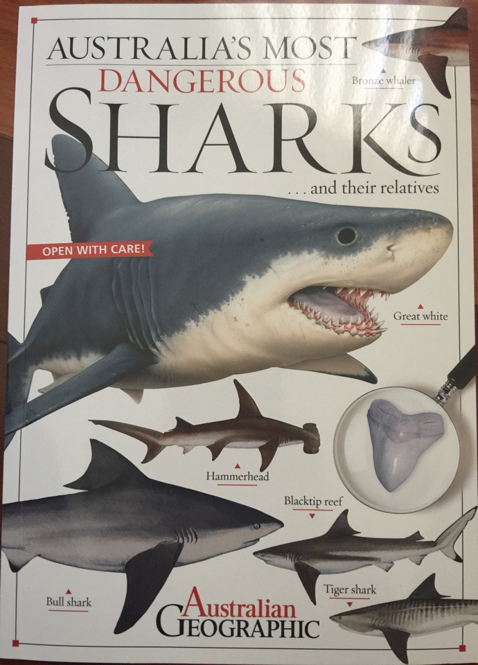 Au most dangerous sharks