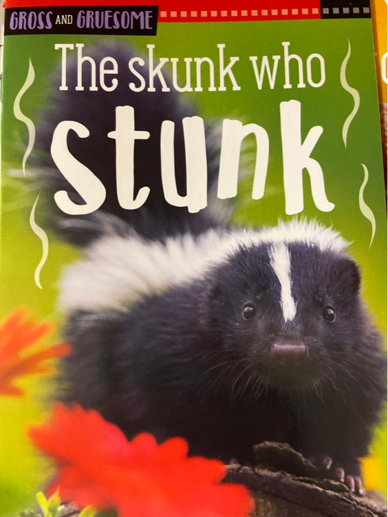 The Skunk who stunk