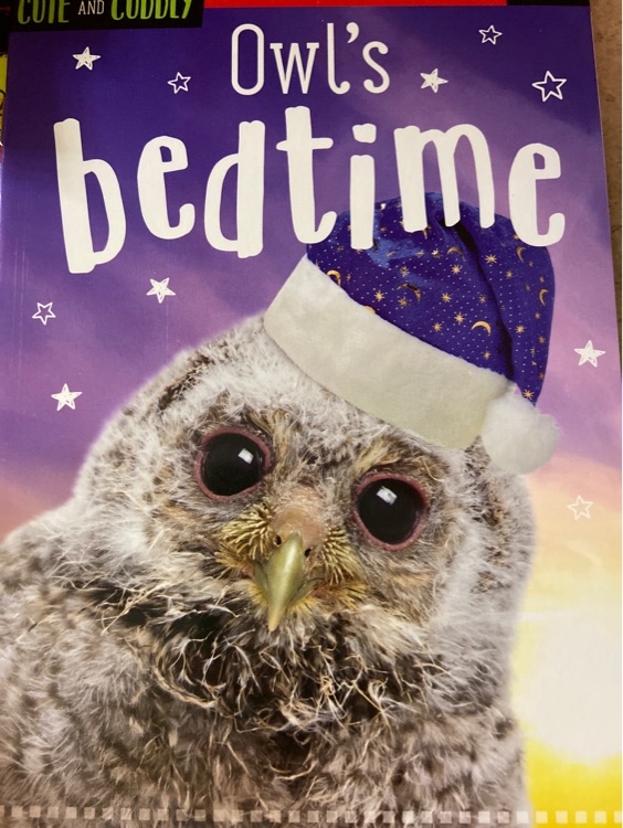 Owl's bedtime