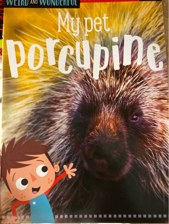 my pet porcupine