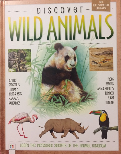 Discover Wild Animals