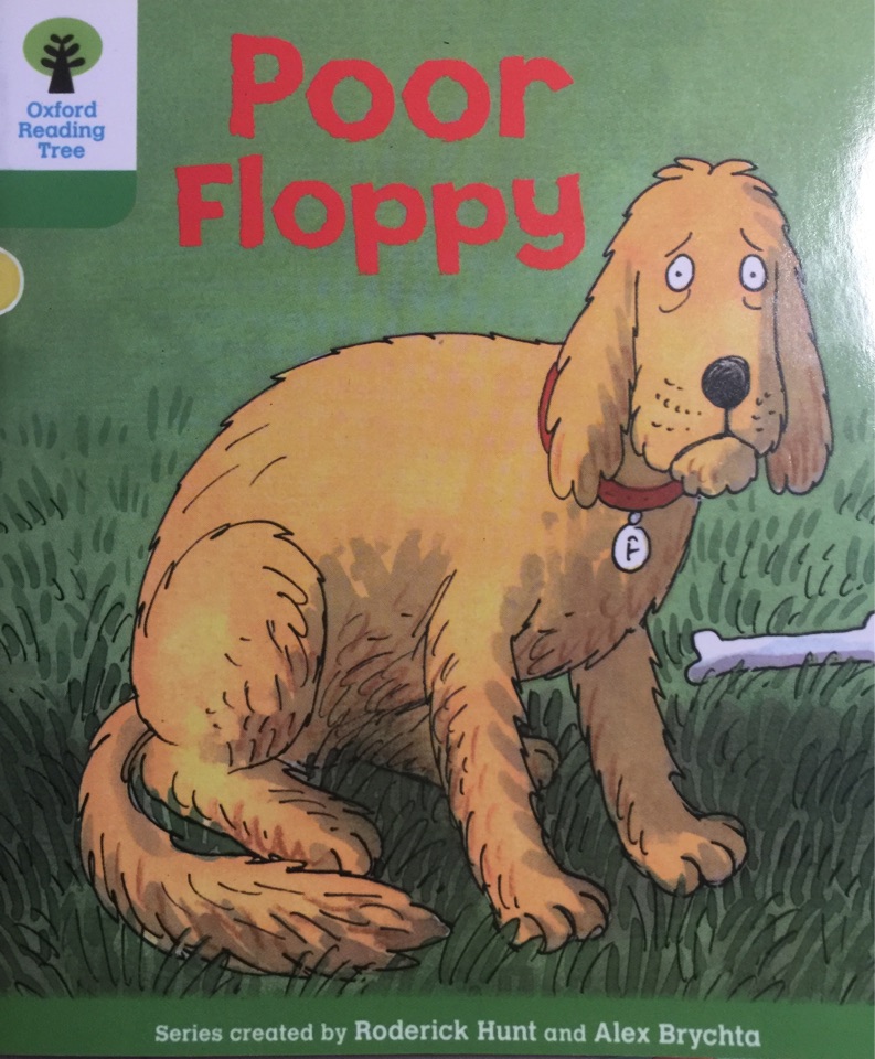 Poor  floppy