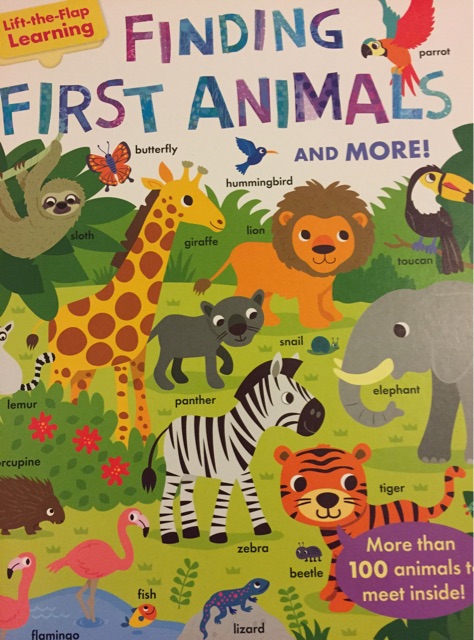 Finding  First  Animal