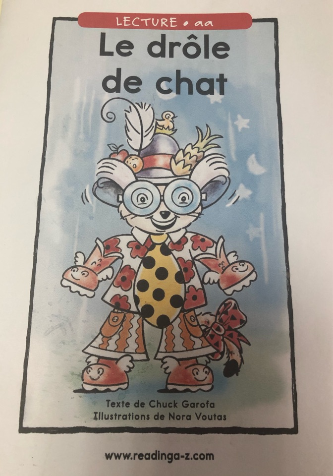 Le drôle de chat