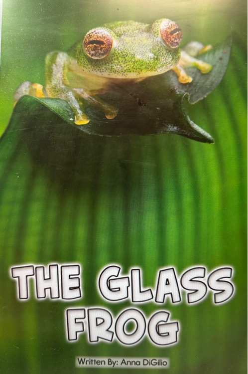 THE GLASS FROG