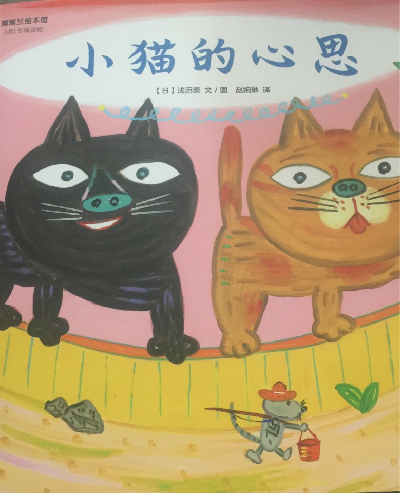 小貓的心思