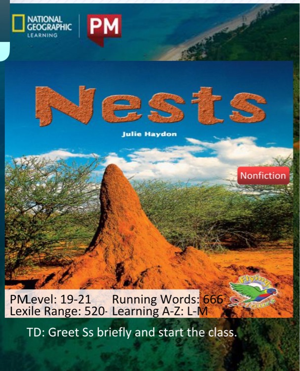 nests