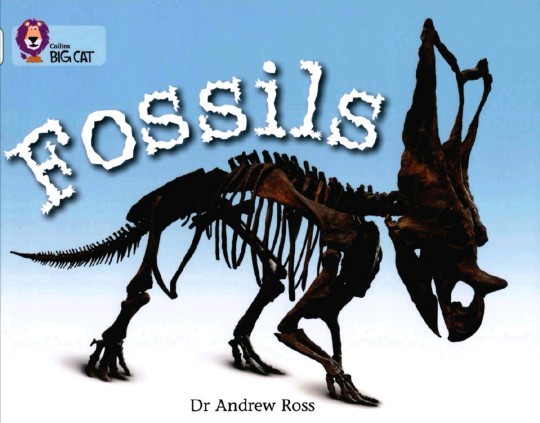 大貓的FOSSILS又