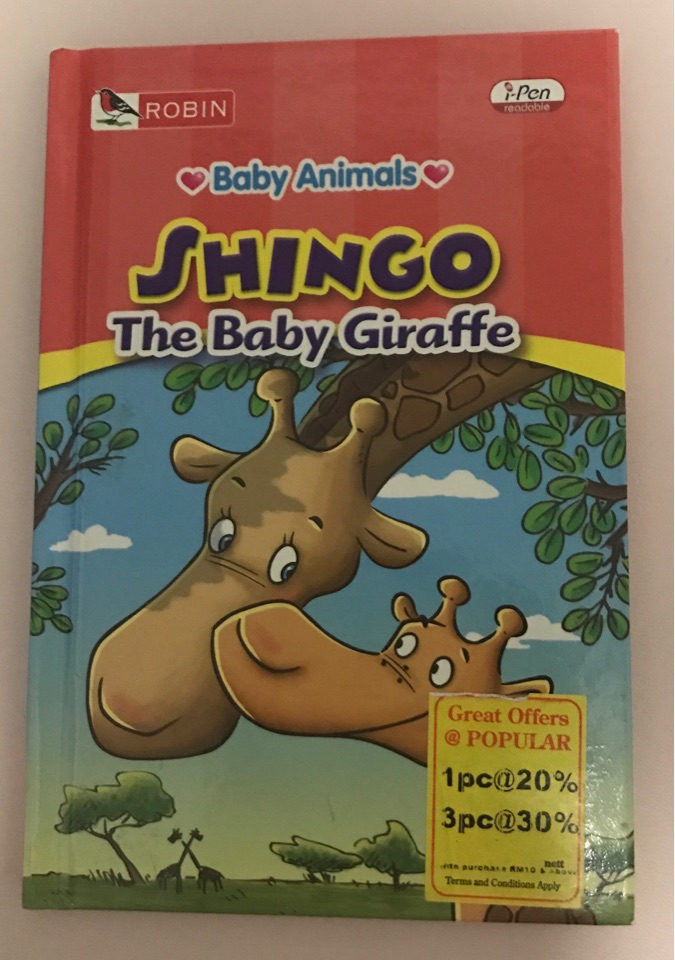 SHINGO - The Baby Giraffe